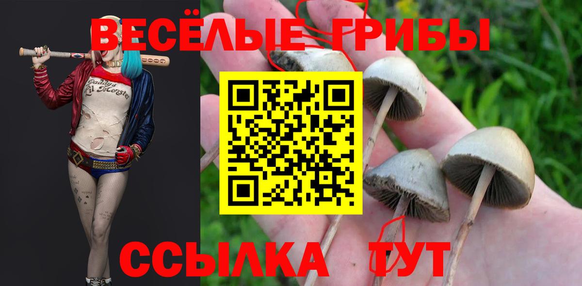 Псилоцибиновые грибы Cubensis  Галлюциногенные грибы ЛСД  Азов  Вход с VPN 